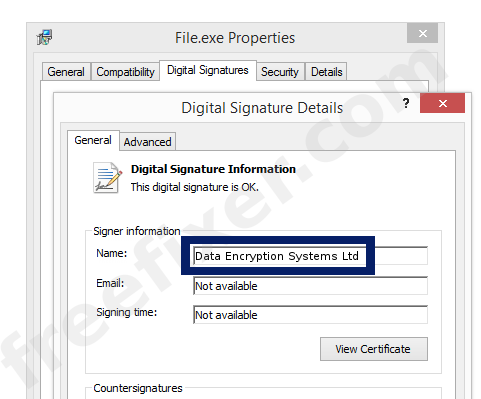 Screenshot of the Data Encryption Systems Ltd certificate
